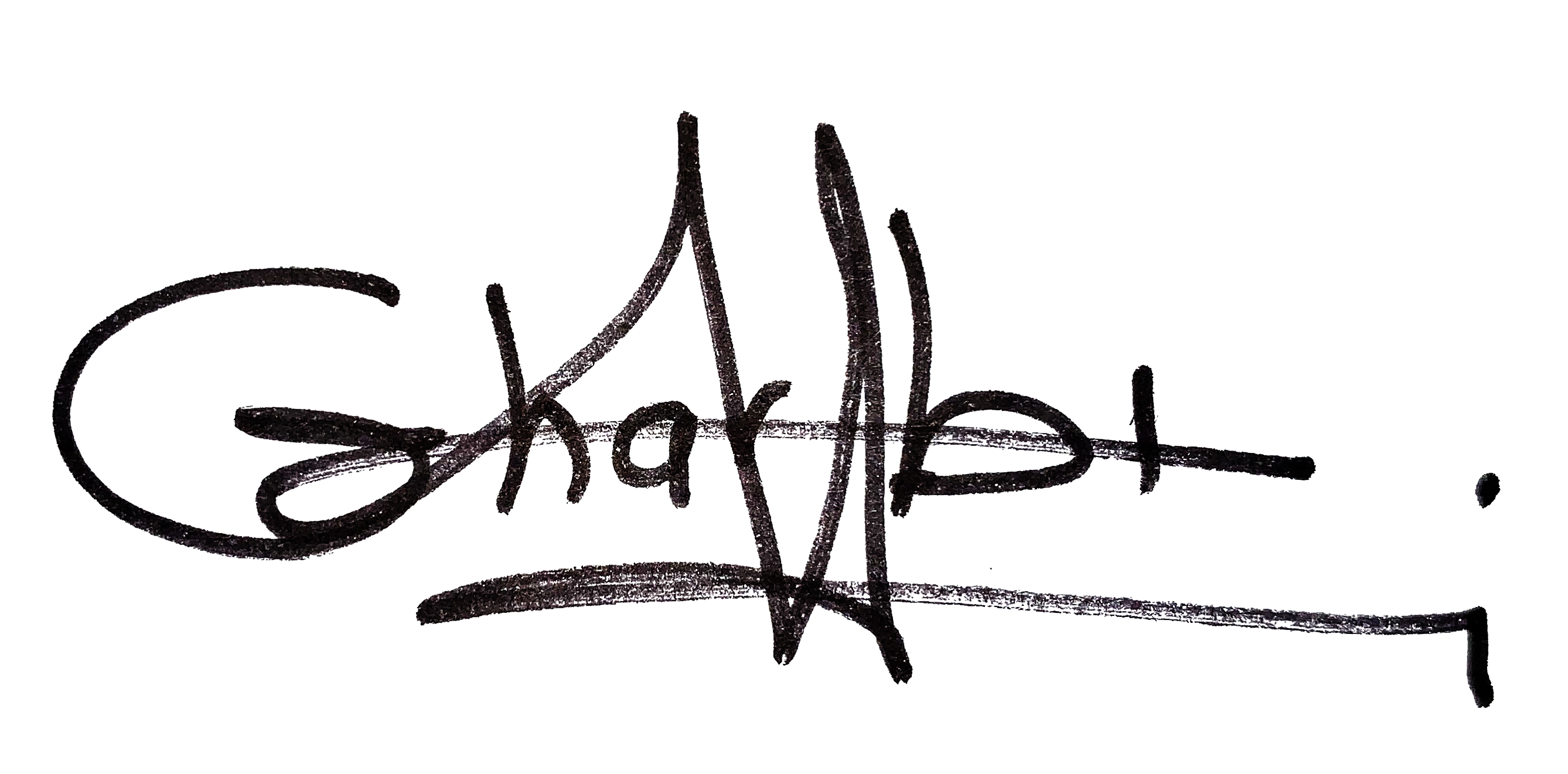 Hassen_Gharbi_Signature