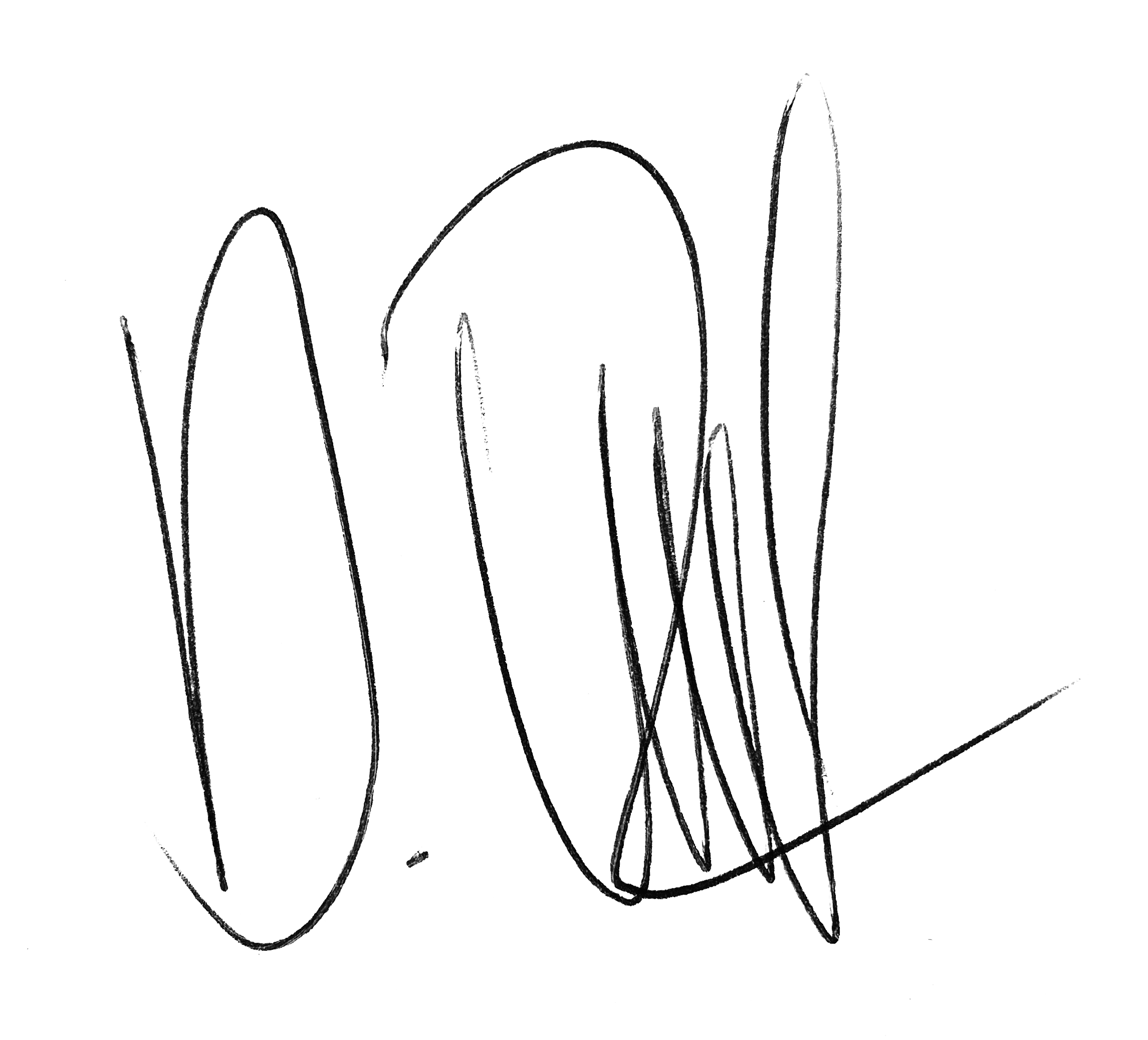 Daria_Lutz_Signature (2)