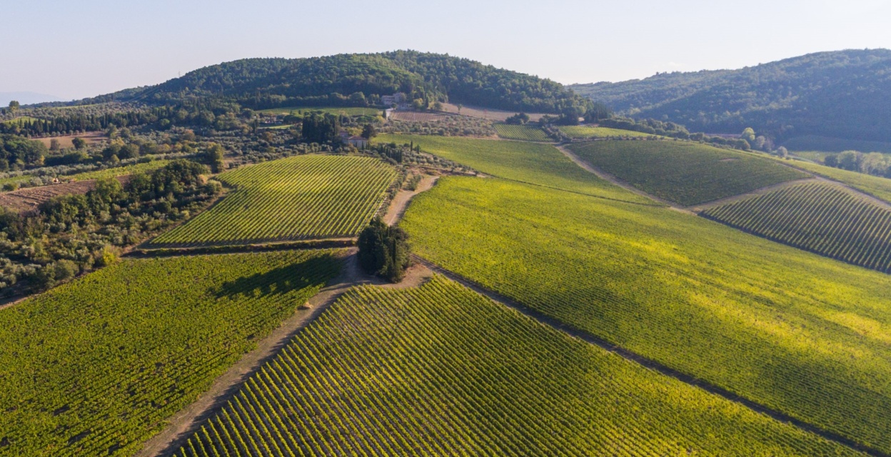 The Solaia and Tignanello vineyards aerial