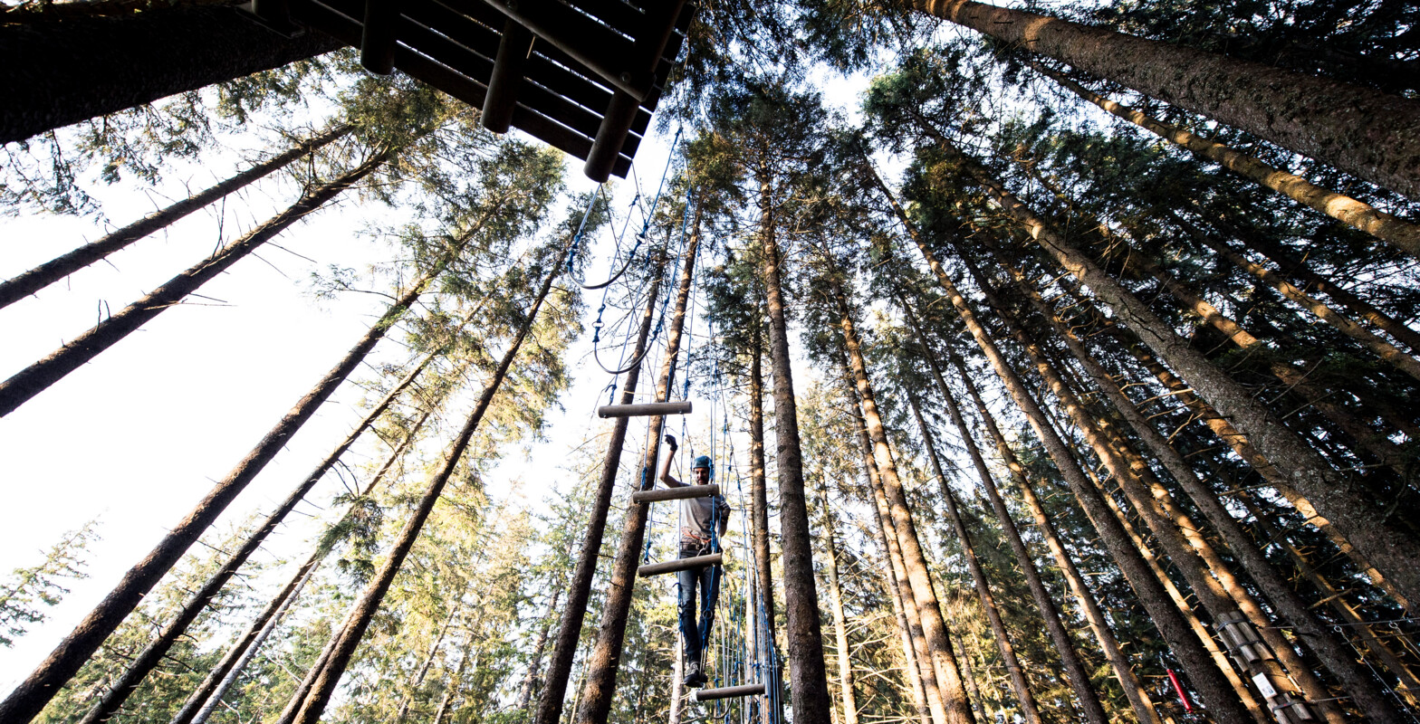 Seilpark-Erwachsene am klettern6