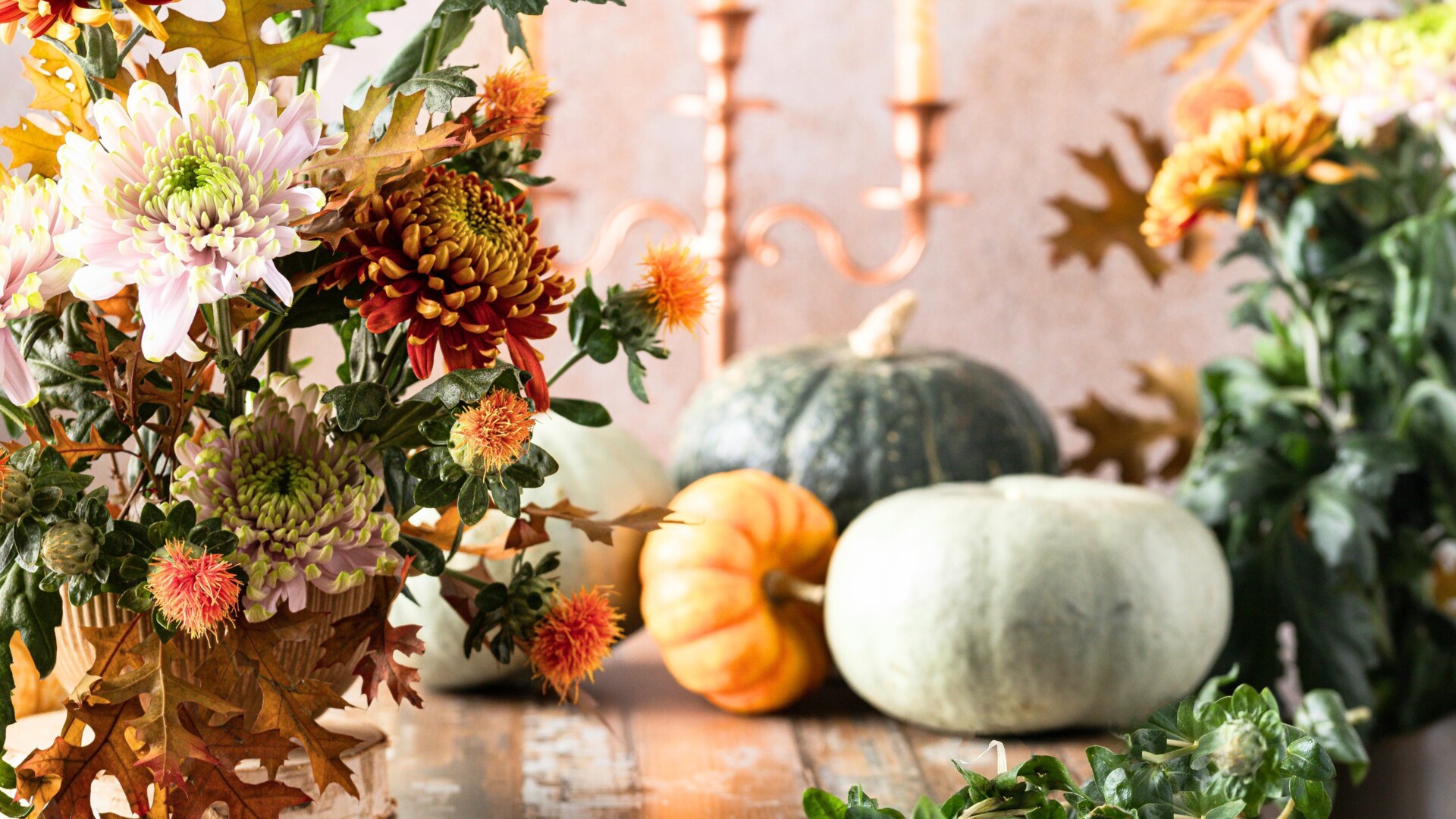Website_Cover Image (12)