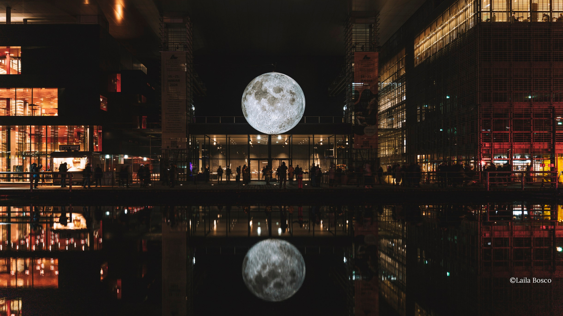 Cover Image_Laila Bosco_Lilu