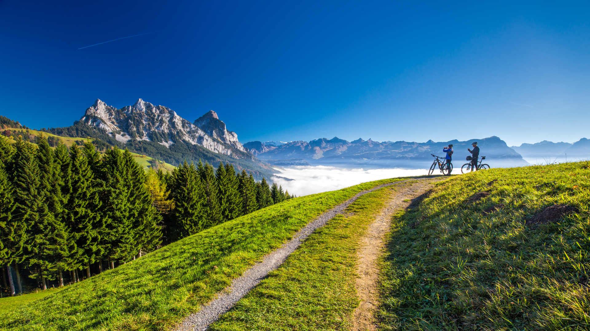 Cycling_nature_people_Lake_Lucerne_shutterstock_662129533