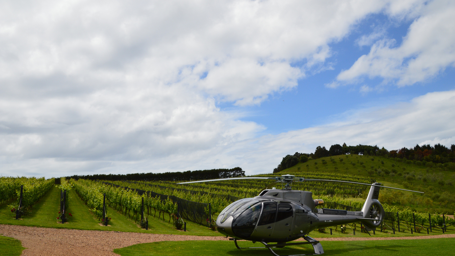 Helicopter_flight_summer_vineyards_fly and wine_01