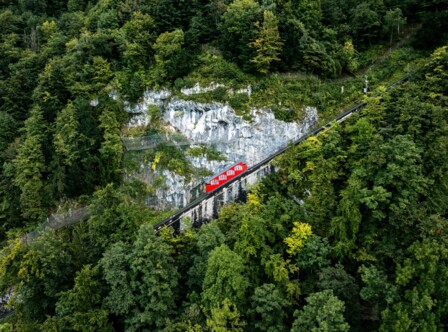 The Legendary Arrival