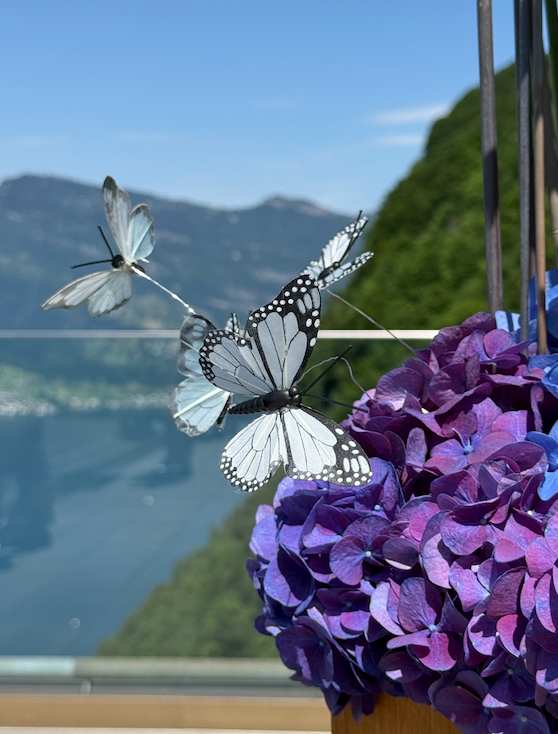 Florale Kunst über den Wolken