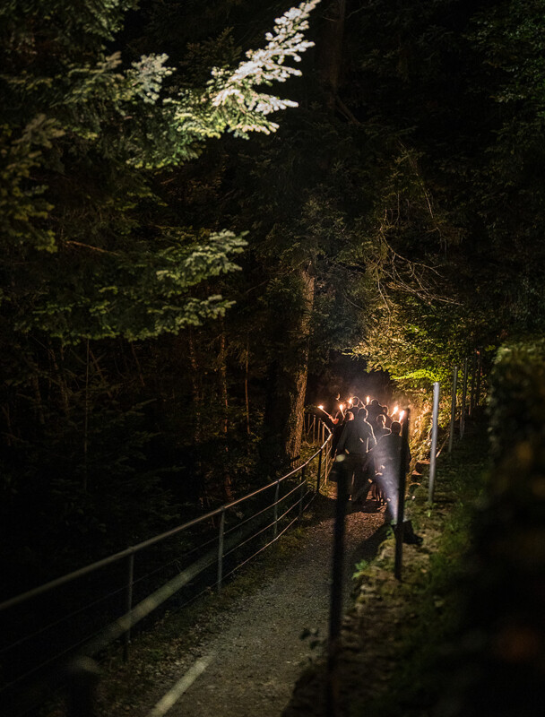 Ein himmlischer Waldspaziergang