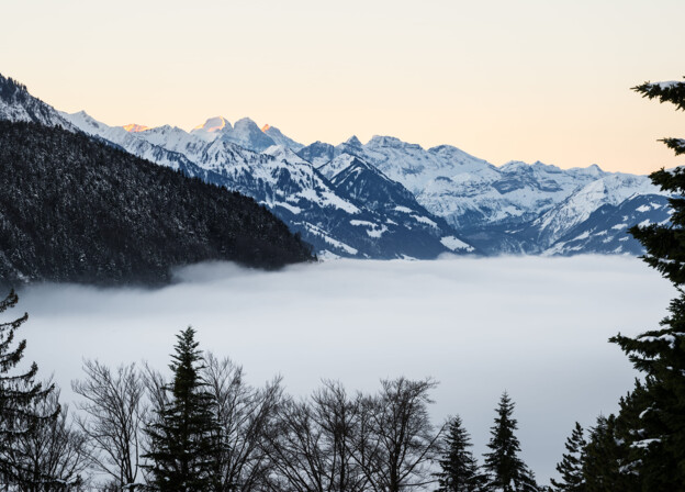 New Year’s Day in Alpine Serenity