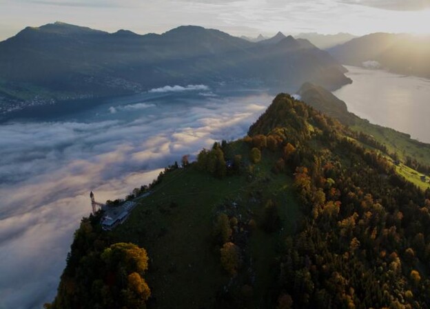Swiss Resident Offer